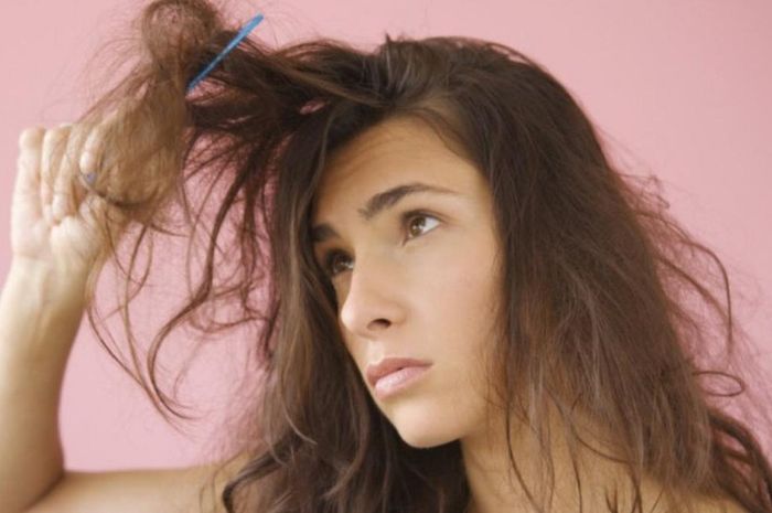 Cara Mengatasi Rambut Kusut dengan Bahan Alami: 12 Tips Mudah yang Terbukti Efektif