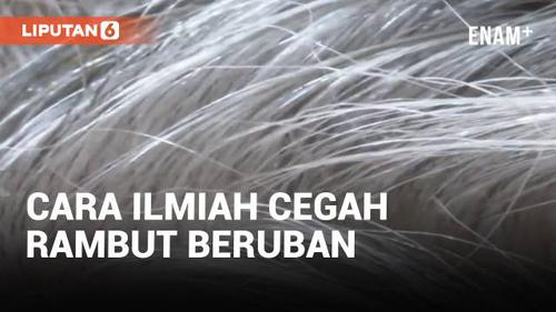 Rambut Berminyak: Taklukkan dengan Produk yang Tepat!