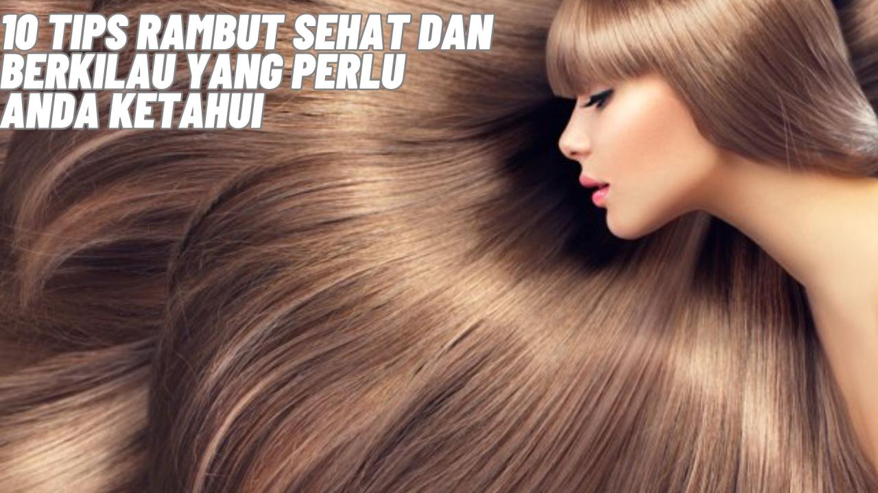 Rahasia Rambut Sehat dan Berkilau: Sumber Protein Nabati Terbaik