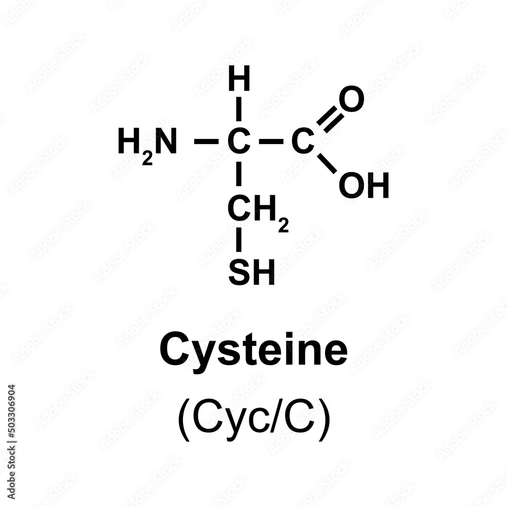 L-Cysteine: Asam Amino Penting untuk Kesehatan Rambut Anda