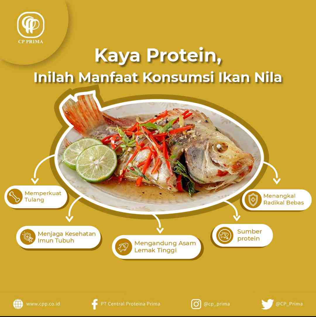 Rahasia Rambut Sehat: Makanan Kaya Protein yang Wajib Anda Konsumsi