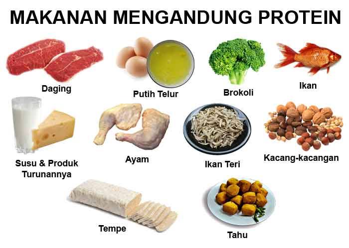 Protein Hewani dalam Makanan: Kunci untuk Rambut Sehat dan Berkilau