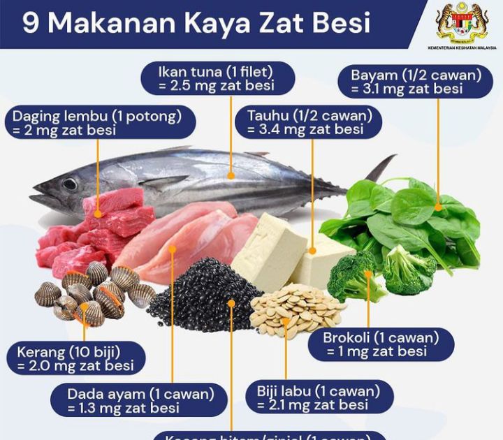 Rambut Rontok? Coba Konsumsi Makanan Kaya Zat Besi Ini!