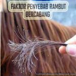 Rambut Bercabang: Musuh Terbesar Kecantikan Rambutmu!