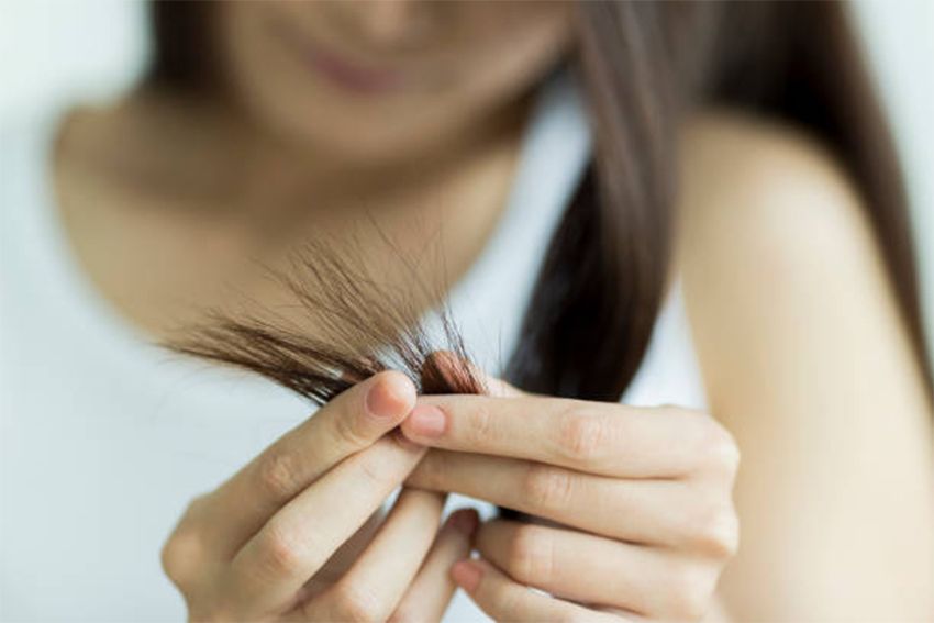 Rambut Kuat dalam 7 Hari: Makanan Kaya Zinc yang Harus Dicoba