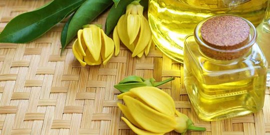 Mengapa Minyak Ylang-Ylang Penting untuk Kesehatan Rambut?