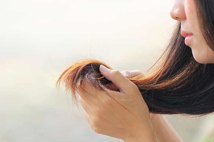 Rambut Kering dan Bercabang? Atasi dengan Nutrisi dari Dalam!