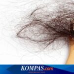 Solusi Mengatasi Rambut Rontok pada Anak dengan Aman: Panduan Lengkap untuk Orang Tua