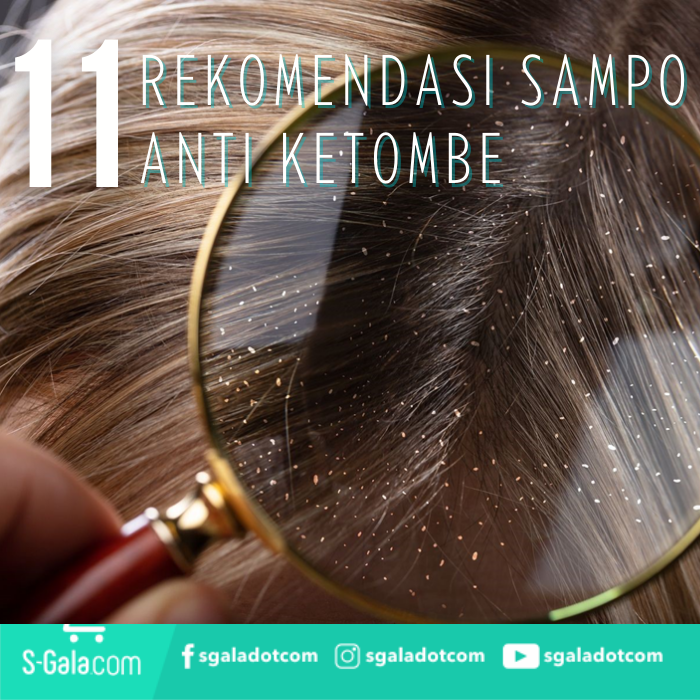 Shampoo Anti Ketombe Terbaik untuk Wanita: 12 Rekomendasi yang Wajib Dicoba