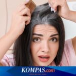 Mengapa Rambut Saya Patah Saat Disisir? Rahasia di Balik Rambut Rapuh dan Cara Mengatasinya