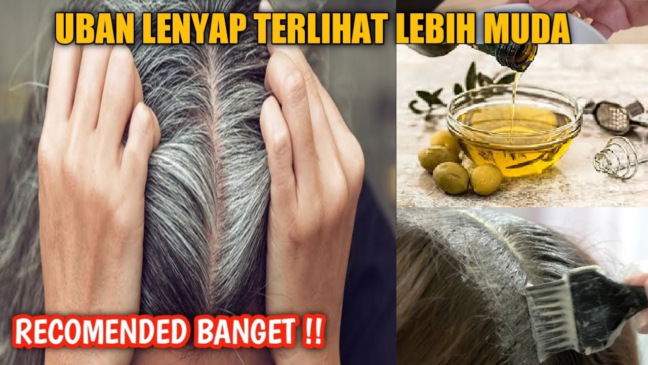 Rahasia Rambut Sehat dengan Minyak Zaitun: Rahasia Kecantikan Alami yang Teruji Waktu