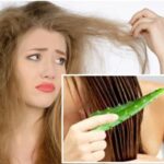 12 Cara Merawat Rambut Bleaching agar Tidak Kering dan Tetap Lembut