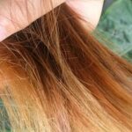 Rambut Kering dan Rusak? Atasi dengan Nutrisi dari Dalam!