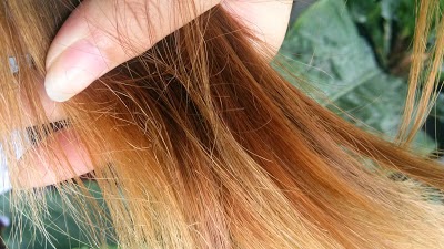 Rambut Kering dan Rusak? Atasi dengan Nutrisi dari Dalam!