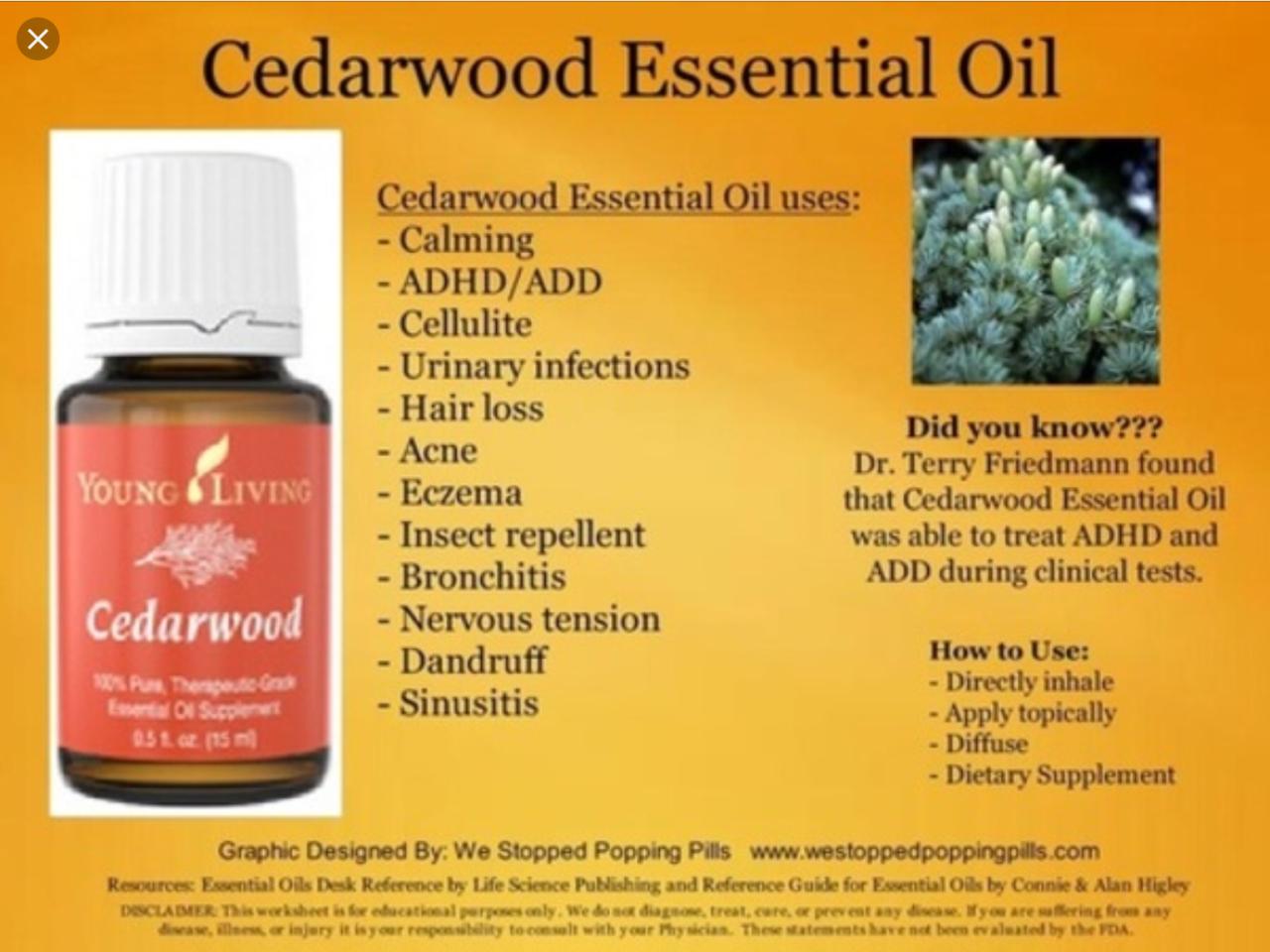 5 Kesalahan yang Harus Dihindari Saat Menggunakan Minyak Cedarwood untuk Rambut