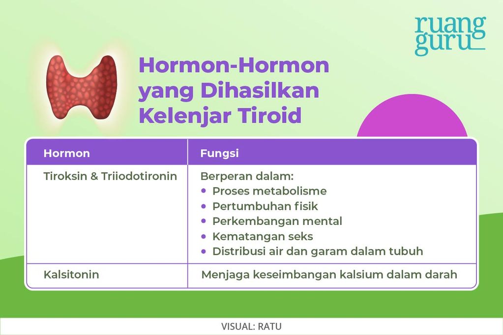 Bagaimana Masalah Tiroid Bisa Menyebabkan Ketombe? Ini Penjelasannya!