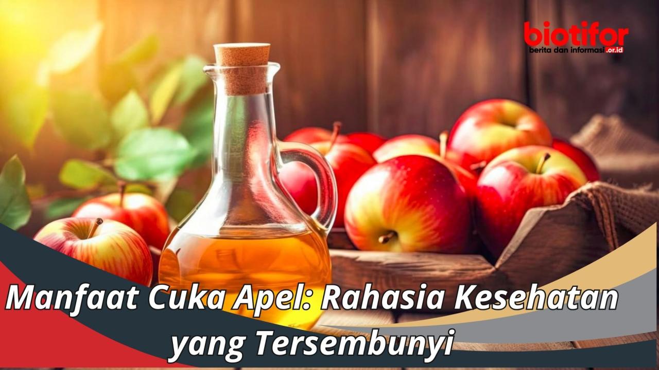 Rahasia Rambut Sehat Alami: Manfaat Cuka Apel untuk Pria