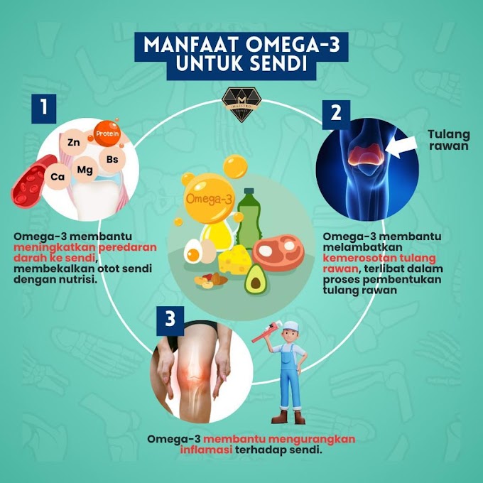 Panduan Lengkap Manfaat Omega 9 untuk Rambut Anda