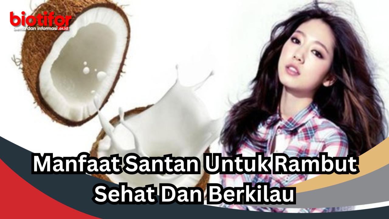 Santan: Rahasia Rambut Sehat dan Berkilau untuk Pria