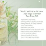 Rahasia Rambut Sehat dan Bersih: 3 Manfaat Minyak Tea Tree yang Jarang Diketahui