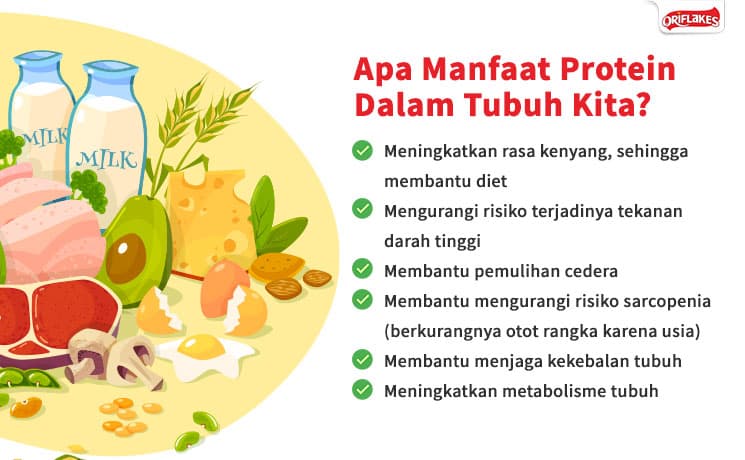 Mengapa Makanan Tinggi Protein Penting untuk Rambut Tebal?