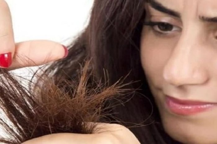 Rambut Bercabang: Benarkah Hanya Soal Sisir?