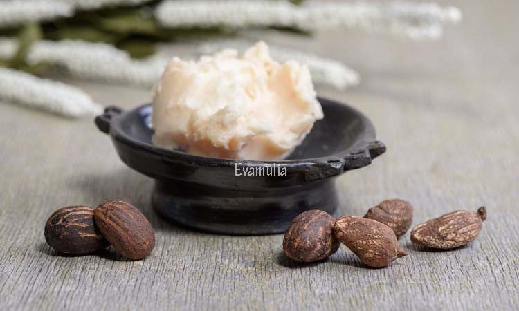 Shea Butter untuk Rambut: Menjaga Kelembapan yang Optimal