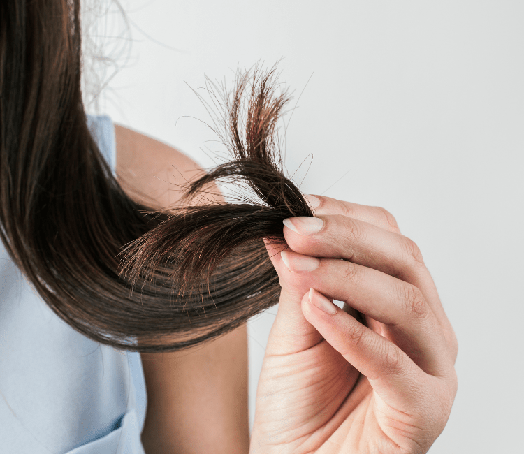 Rambut Rusak? Tenang, Ada Solusinya!