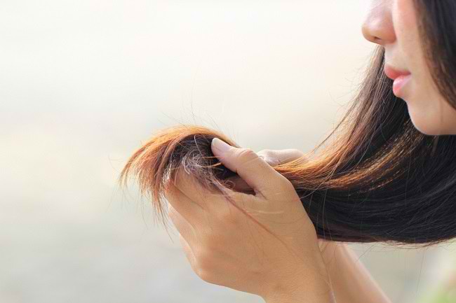 Rambut Tipis? Atasi dengan Nutrisi Tepat!