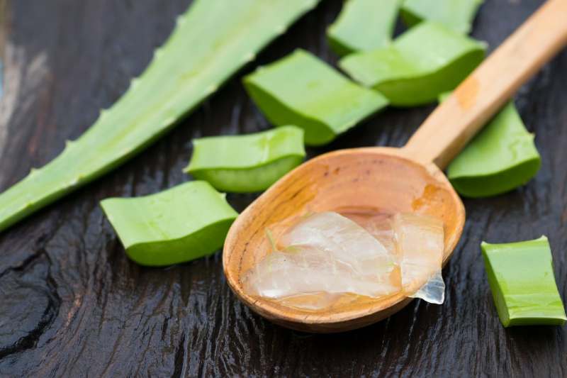 Lidah Buaya untuk Rambut: Cara Menjaga Hidrasi Secara Alami