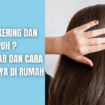 Rambut Rusak? Tenang, Ada Solusinya! Panduan Lengkap Perawatan Rambut Rusak