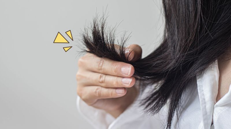 Rambut Rusak? Atasi dengan Nutrisi yang Tepat!