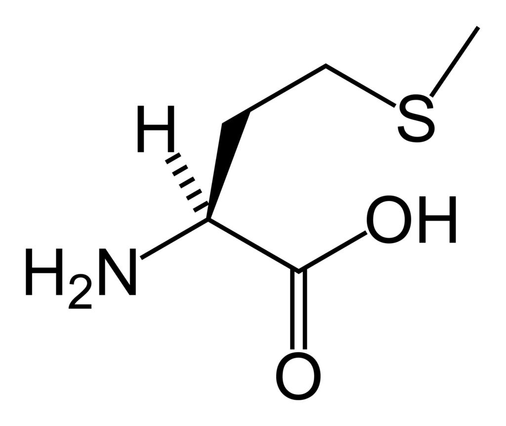 Metionin: Asam Amino yang Mendukung Kesehatan Rambut