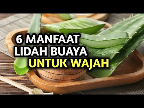 Rahasia Rambut Sehat dan Berkilau: Manfaat Luar Biasa Lidah Buaya untuk Pria