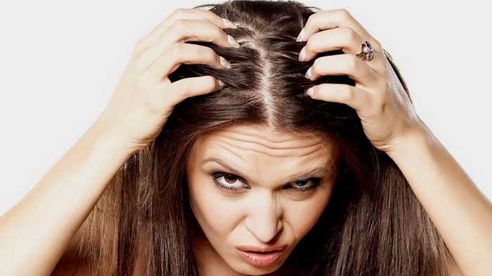 Rambut Berminyak? Tak Perlu Panik! Atasi dengan Bahan Alami yang Mudah Didapat