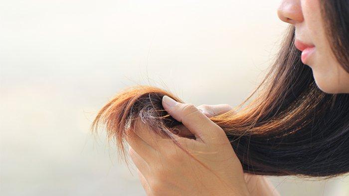 Apakah Rambut Bercabang Bisa Dicegah dengan Vitamin Rambut?