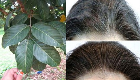 Ucapkan Selamat Tinggal pada Rambut Bercabang dengan Bahan Alami!