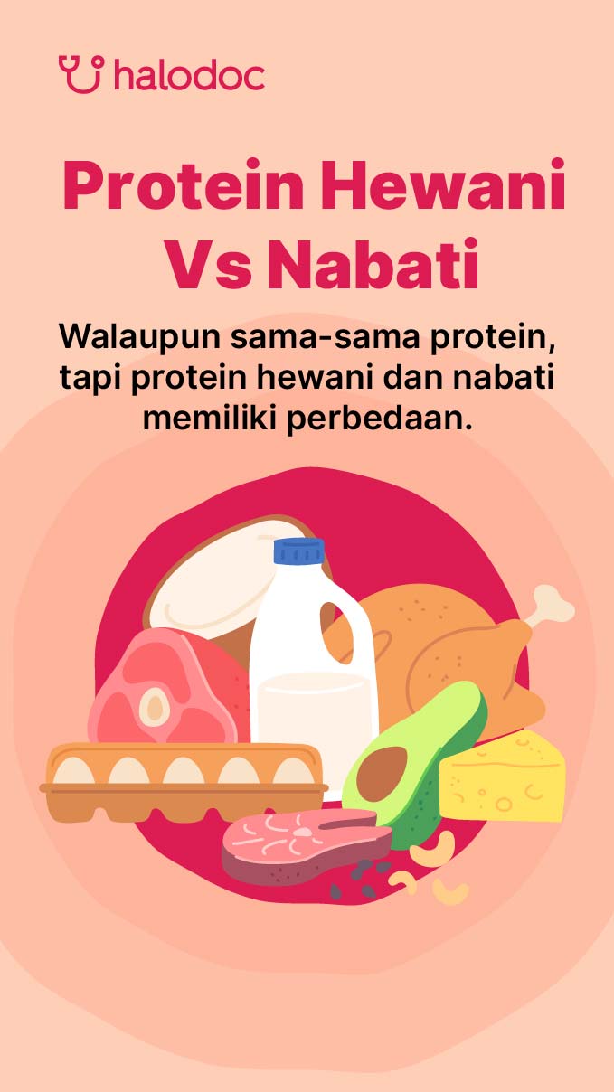 Rahasia Rambut Sehat dan Panjang: Sumber Protein Hewani yang Mengandung Kekuatan Pertumbuhan