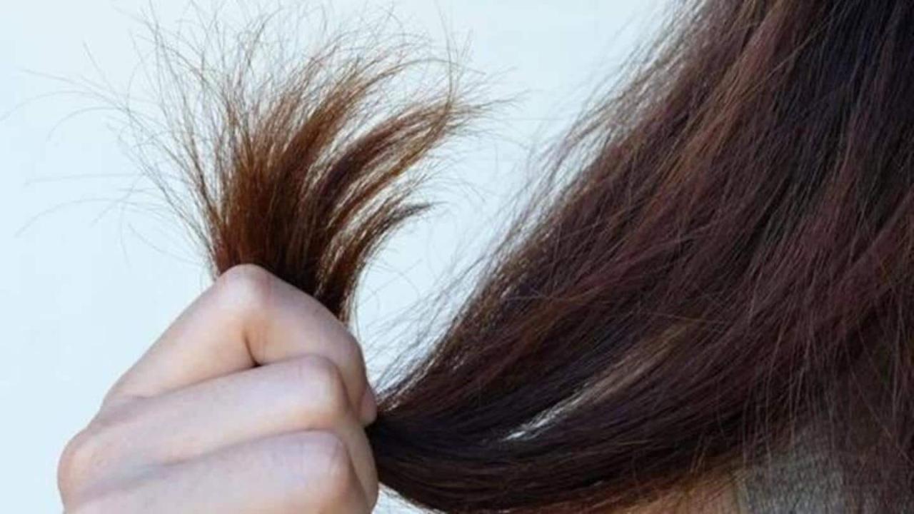 15 Cara Mengatasi Rambut Tipis dan Rapuh dengan Perawatan Alami