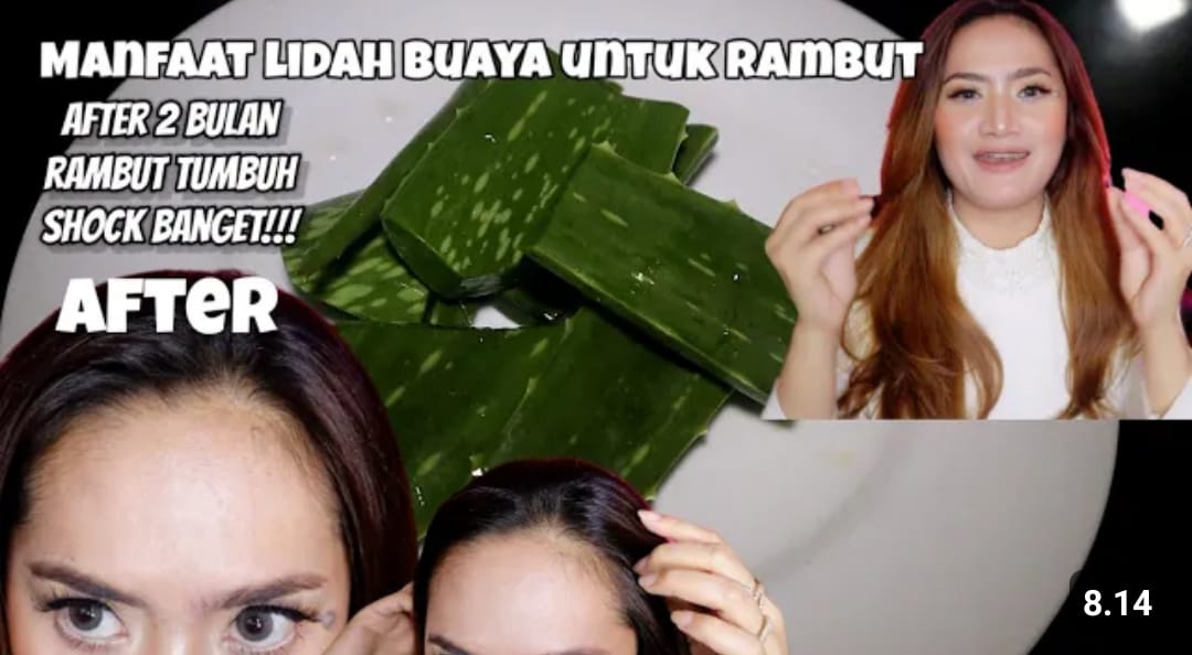 Rahasia Rambut Sehat Alami untuk Pria: Perjalanan Saya Menuju Surai yang Lebat dan Berkilau