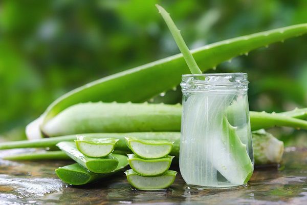 Lidah Buaya untuk Rambut: Cara Menjaga Hidrasi Secara Alami