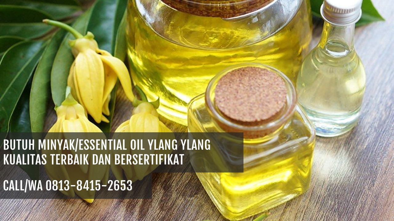 Mengapa Minyak Ylang-Ylang Penting untuk Kesehatan Rambut?