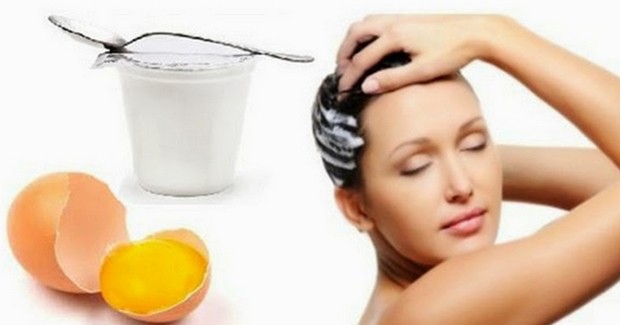 Masker Rambut Rontok dari Telur: 12 Resep Mudah untuk Rambut Lebih Sehat dan Kuat