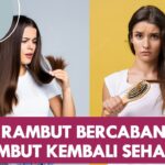 Ucapkan Selamat Tinggal Pada Rambut Bercabang: Tips Alami untuk Rambut Sehat dan Berkilau