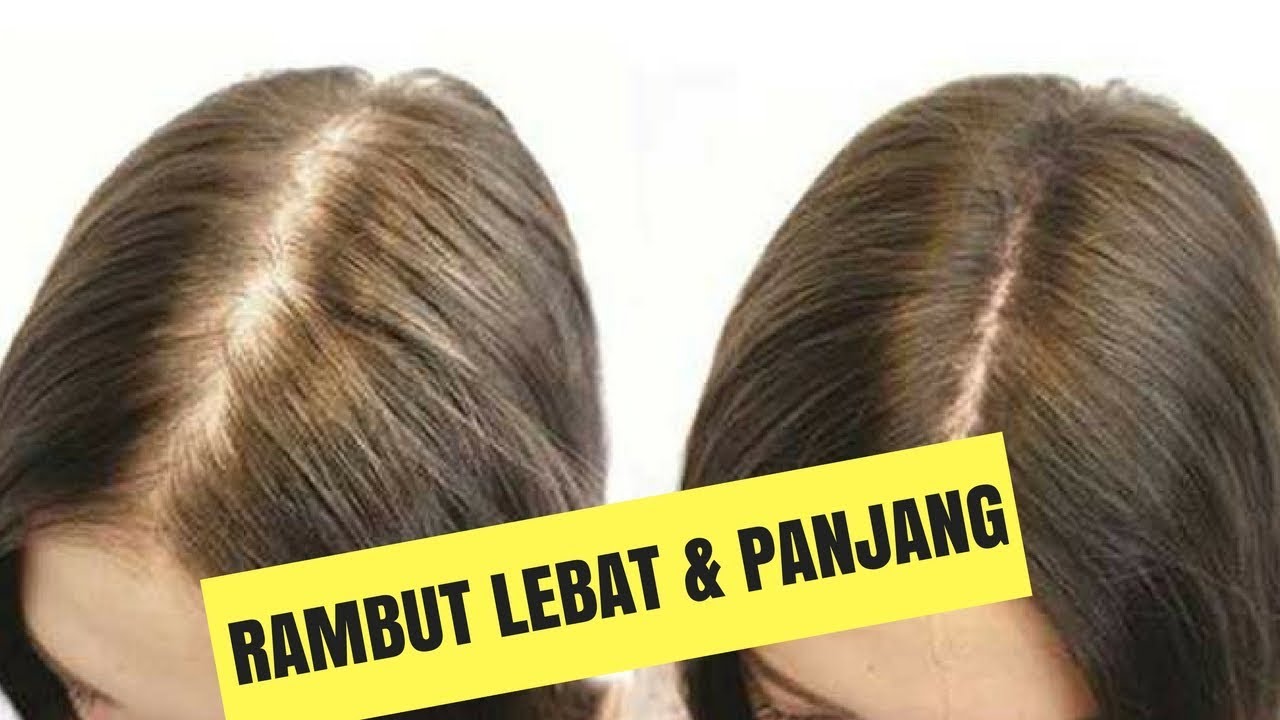 Rahasia Rambut Tebal: Nutrisi yang Membantu Rambut Anda Tumbuh Lebih Lebat