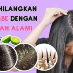 Kelembapan Rambut dengan Bahan Alami: Solusi Terbaik untuk Rambut Sehat