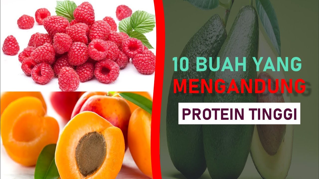 Mengapa Makanan Tinggi Protein Penting untuk Rambut Tebal?