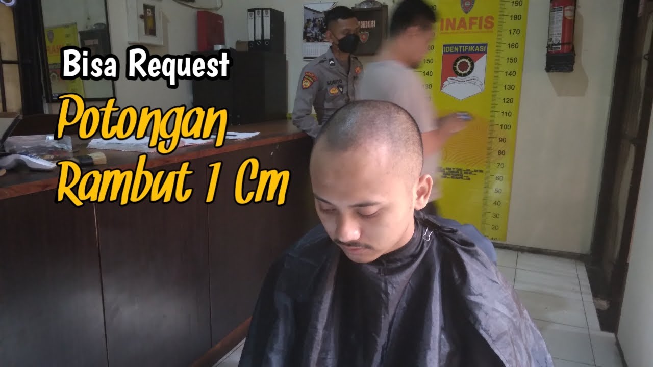 Apakah Rambut Gundul Bisa Tumbuh Kembali? Menyingkap Misteri Kebotakan