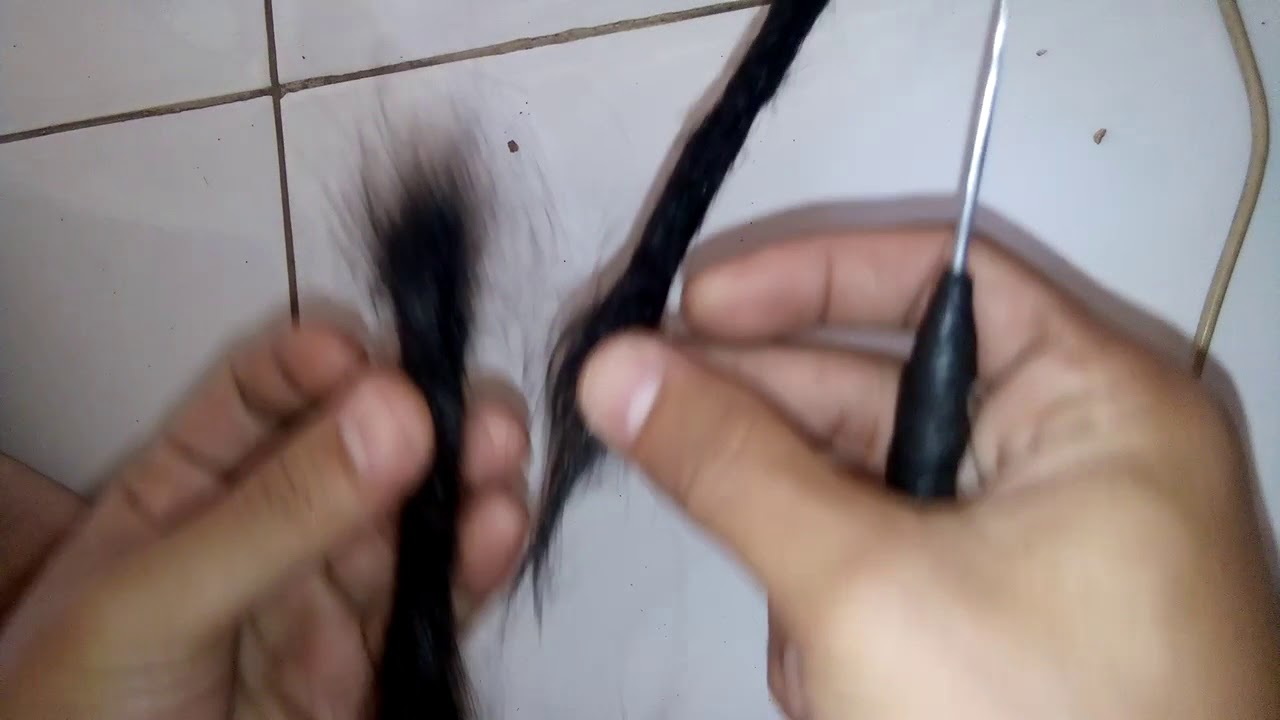 Apakah Rambut Gimbal Bau? Mitos atau Fakta?