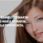 Rambut: Fisik atau Bukan? Sebuah Perjalanan Menelusuri Batas-Batas Definisi